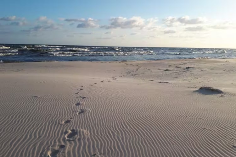 Dom wakacyjny w Sasinie dla max 10 osób-Zones été à 5 km