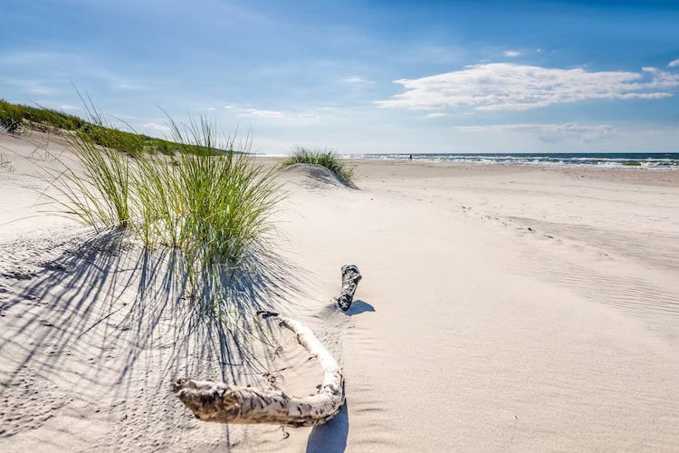 Dom wakacyjny w Sasinie dla max 10 osób-Zones été à 5 km