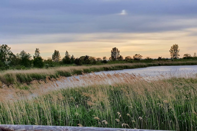 Dom wakacyjny w Świbnie-Gebieden zomer 5km