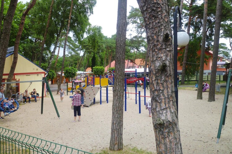 Bild 11 Bild 11