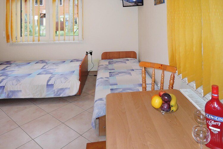 Bild 5 Bild 5