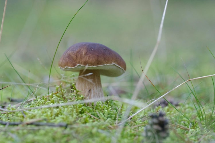 Holiday home Rekowo 120 qm-Gebieden zomer 1km