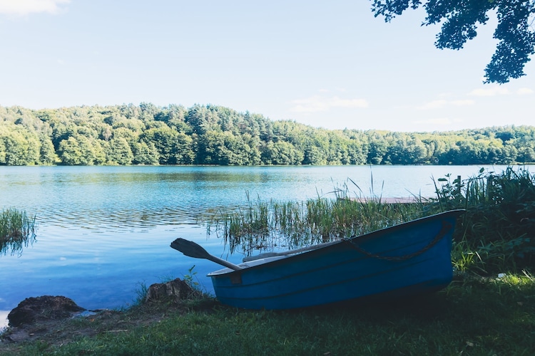 Dom w Starych Czaplach z domkiem na drzewie-Waterzicht