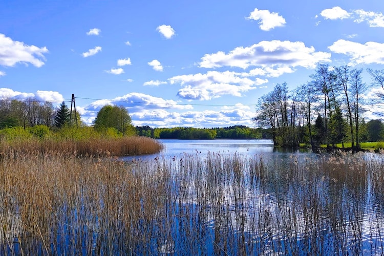 Apartments Rekowo 30 qm-Gebieden zomer 1km