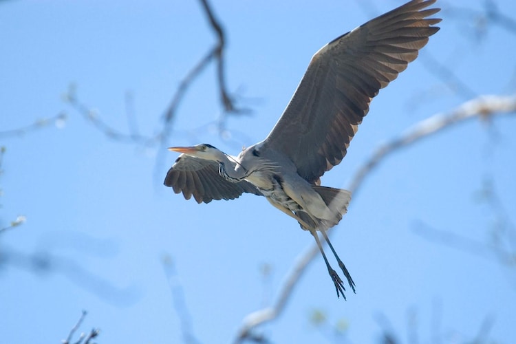 Apartments Rekowo 30 qm-Gebieden zomer 1km