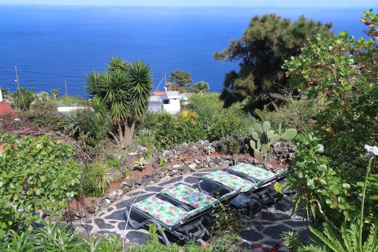View Summer