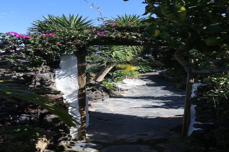 Garden Summer