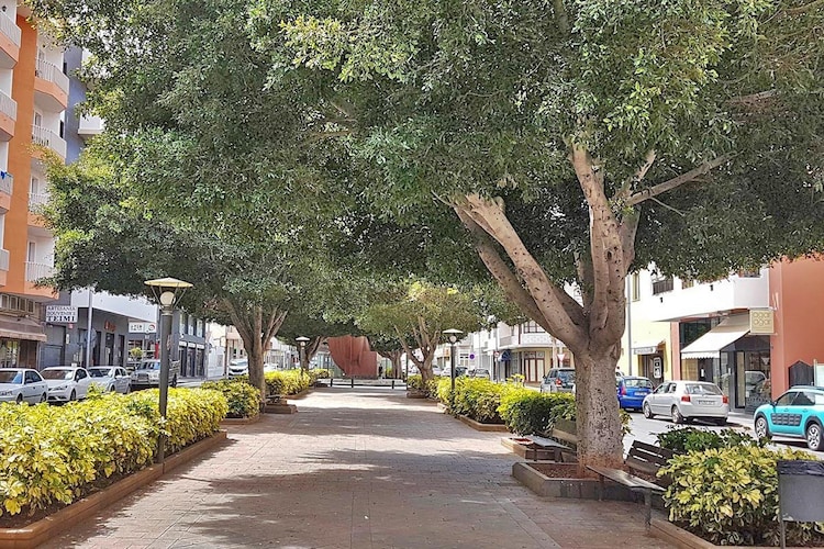 Apartment Atico La Plaza - Gebieden zomer 1km