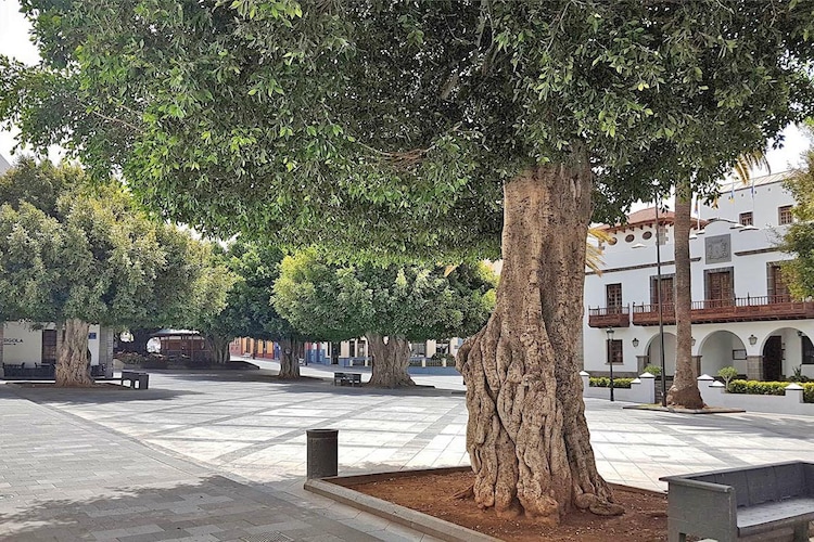 Apartment Atico La Plaza - Gebieden zomer 1km