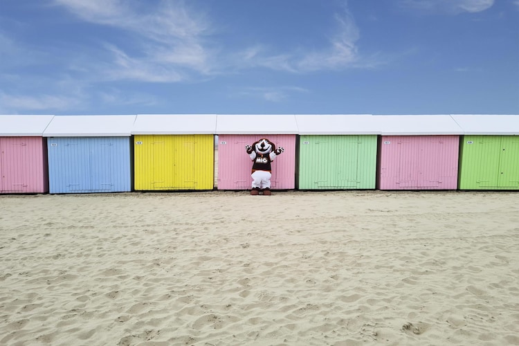 Berck sur Mer 9, foto 15