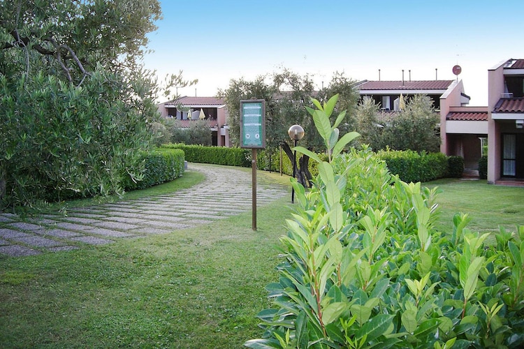 Garden Summer