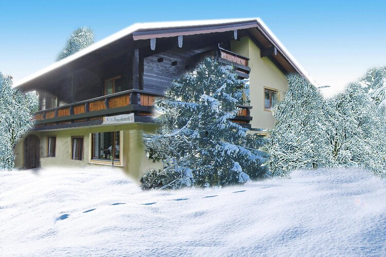 Bild 5 Bild 5