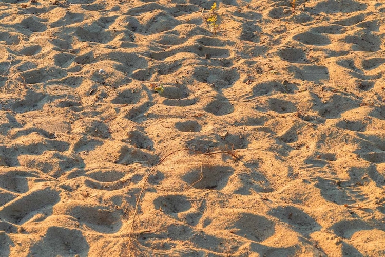 Ferienhaus Strandblick-Gebieden zomer 1km