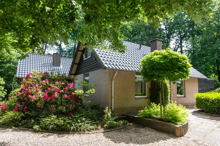 Fraai huis met open haard op een vakantiepark in het bos
