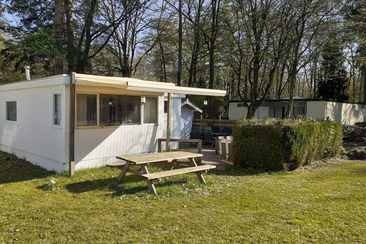 Chalet in de bossen van Drenthe met ruim grasveld ervoor
