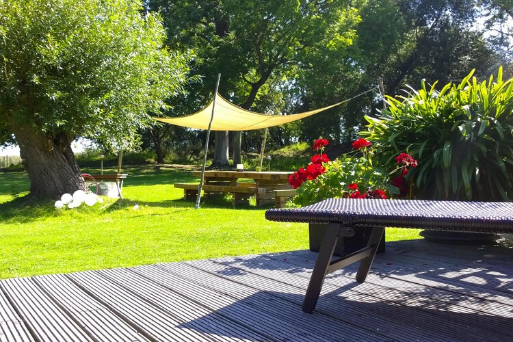 Bild 5 Bild 5
