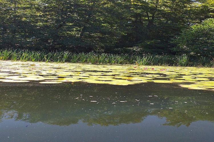Dom nad jeziorem Mausz Parchowo-Gebieden zomer 1km