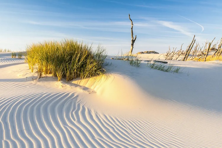 Dom wakacyjny Seahorse w Rowach-Gebieden zomer 5km