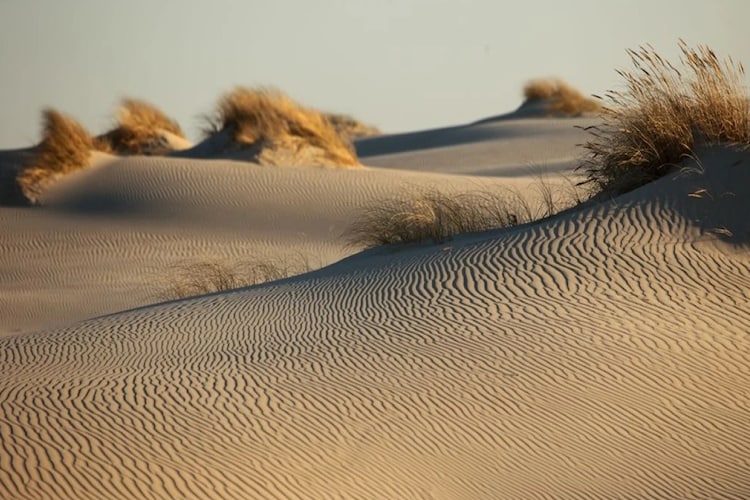 Dom wakacyjny Seahorse w Rowach-Gebieden zomer 5km