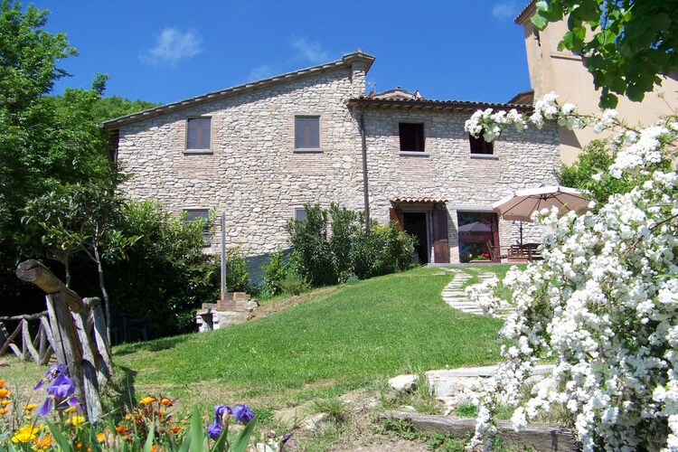 Valdipetrina Home