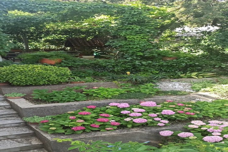 Apartmá Apartments & Rooms Jokovic-Double Room with Te