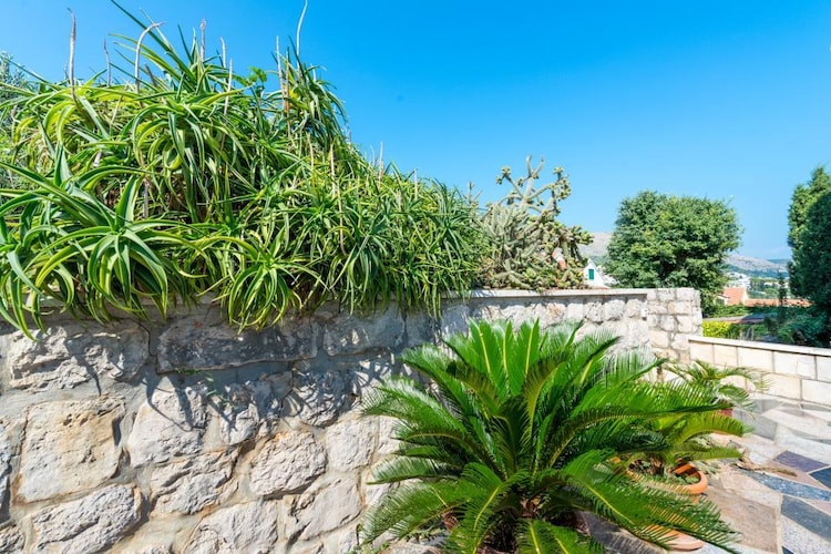 Picture of property.name