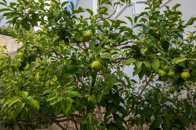 Picture of property.name