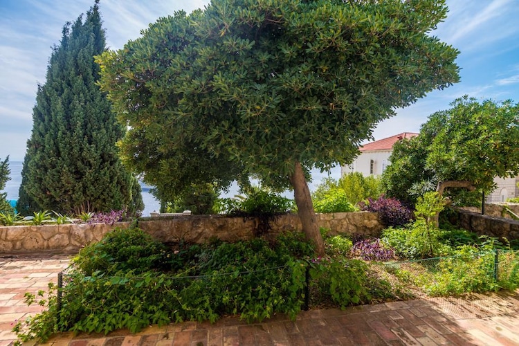Apartmá Apartment Charming Arena - One Bedroom Apartment w