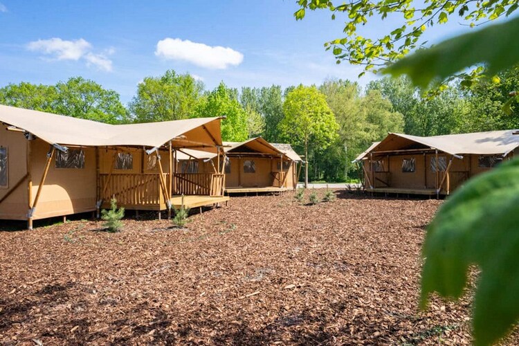 Leuke tentlodge met badkamer, nabij Amsterdam