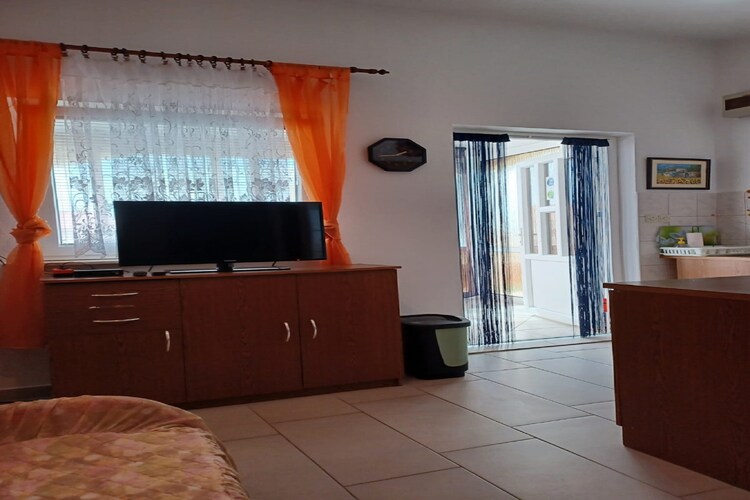 Apartments Topić - One Bedroom Apartment with Terrace (First Floor)