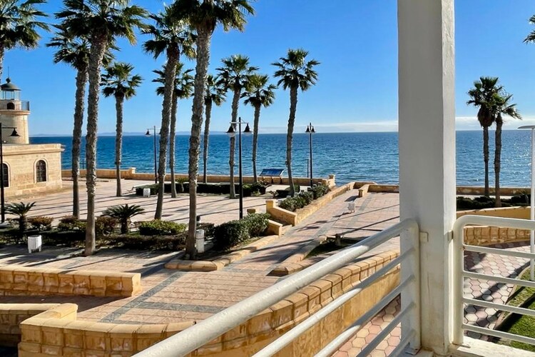 Faro III