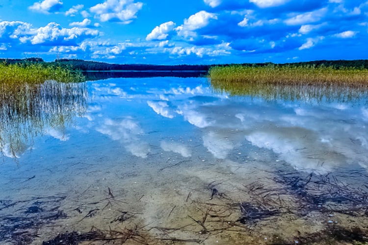 Dom wakacyjny w Perlinie-Gebieden zomer 1km