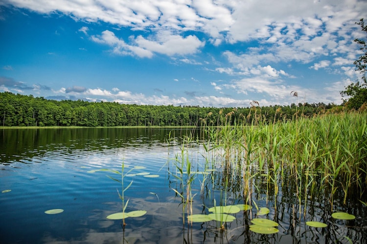 Dom pod Gruszą dla 4 os Klępnica - Vue