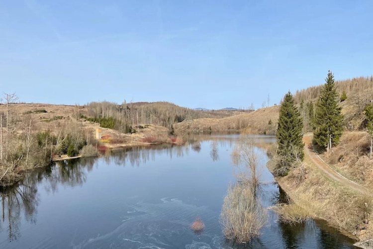 Ferienhaus in Hasselfelde - Haus 116 Auerhahn-Gebieden zomer 5km