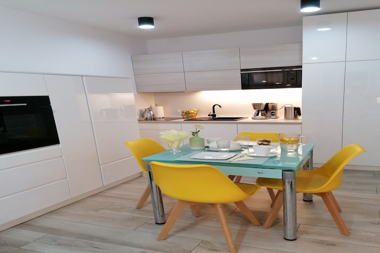 On the 1st floor: (open kitchen(electric kettle, boiling water tap, toaster, cooker(2 ring stoves, induction), hood, espresso machine, oven, dishwasher, fridge-freezer, washing machine), Living/bed room(double sofa bed, TV(flatscreen, satellite, german television channels), dining table, seating area), bedroom(double king size bed), bathroom(shower, washbasin, toilet))\n\ngarage, balcony or terrace, garden furniture, lift