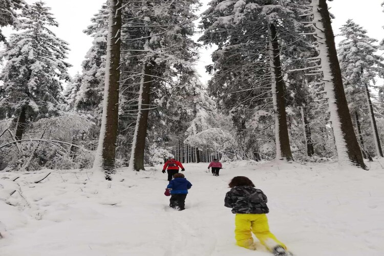 Haus Hunnenberg 2-Gebied winter 20km