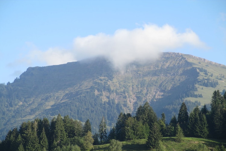 144511-Nicht zugeordnet