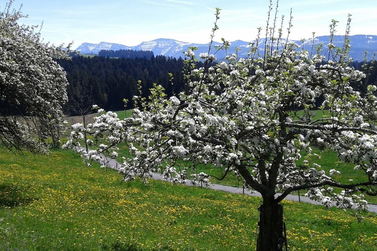 144511-Nicht zugeordnet