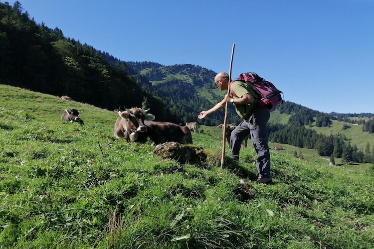 144511-Nicht zugeordnet