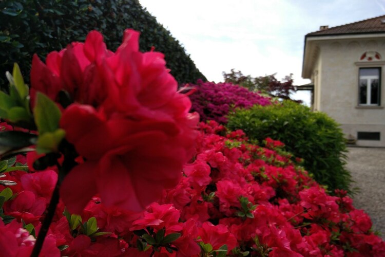 Vakantiehuis in Luino, foto 5