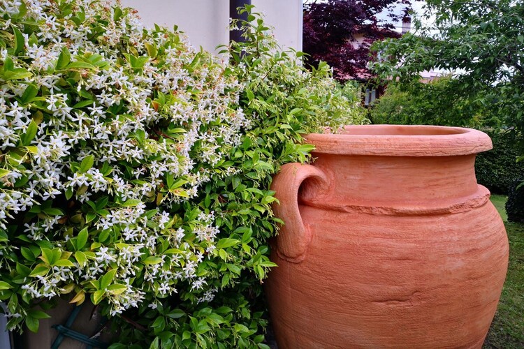 Vakantiehuis in Luino, foto 12