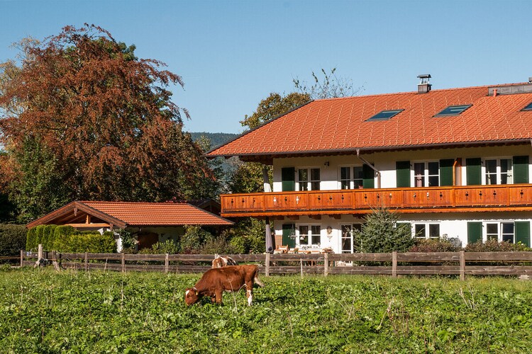 Vakantiehuis in Reitrain, foto 2