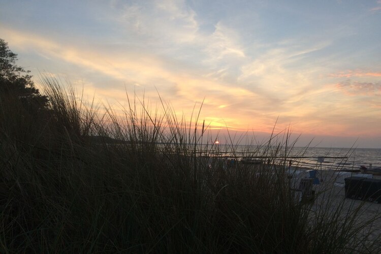 Vakantiehuis in Zempin, foto 14