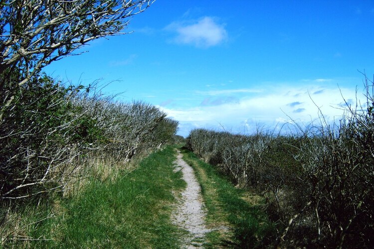Vakantiehuis in Nordseeinsel Juist, foto 13