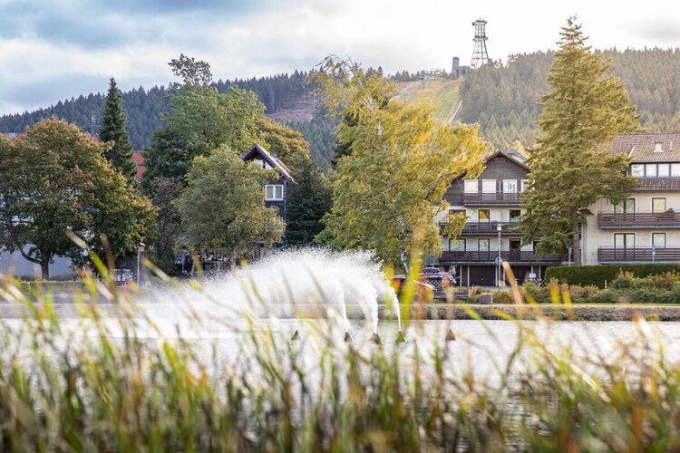 Vakantiehuis in Goslar, foto 2