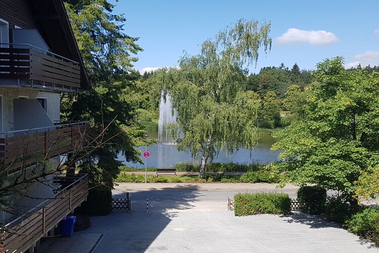 Vakantiehuis in Goslar-Hahnenklee, foto 4