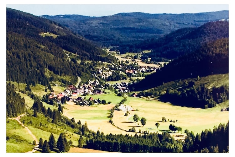 Vakantiehuis in Sankt Blasien, foto 8