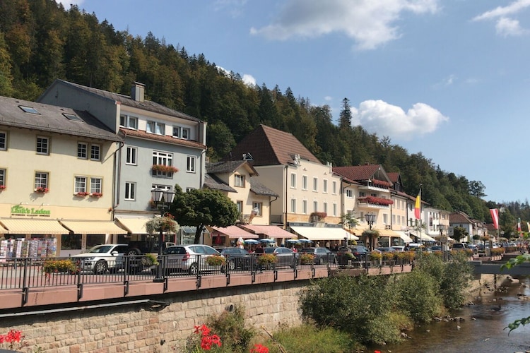 Vakantiehuis in Sankt Blasien, foto 9