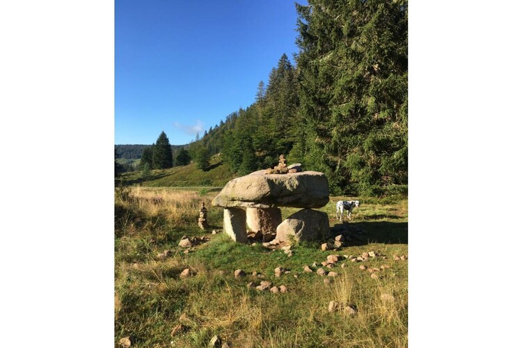 Vakantiehuis in Sankt Blasien, foto 10
