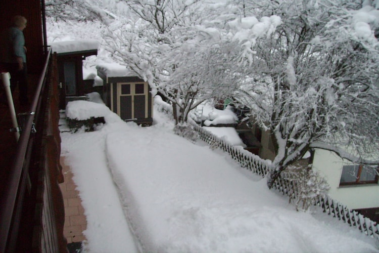 Vakantiehuis in St. Blasien, foto 5